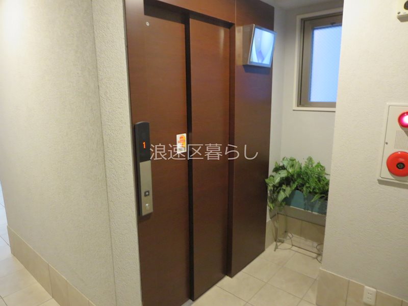 MINAMI その他