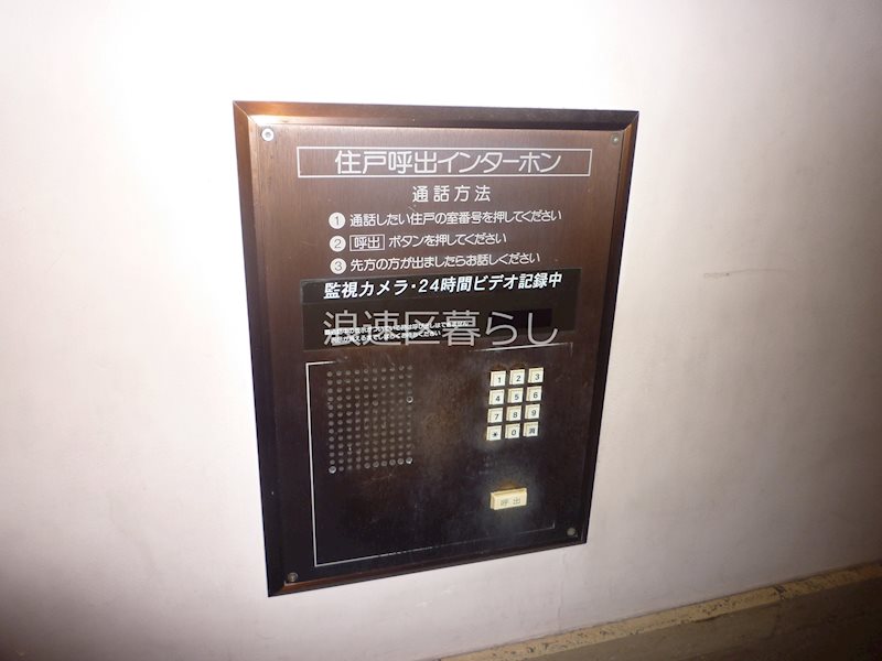 エマーブル・ナンバ その他